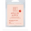 Δοχείο και κερί wax melt Apple Pie & Spice